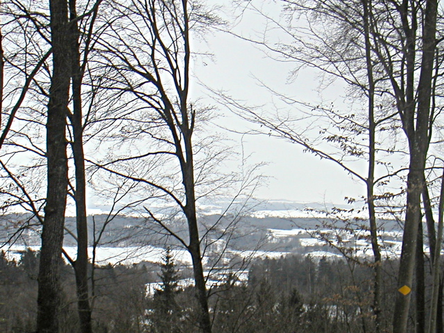 Landscape with river Reuss