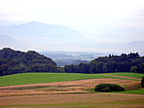 Picture gallery of the hike along the ridge of the Albis - Image 03