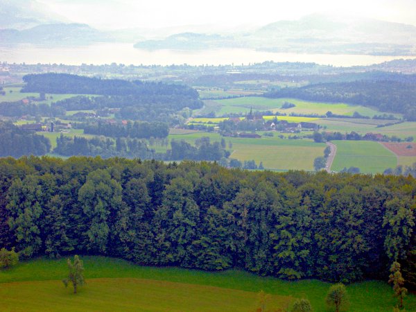 Picture gallery of the hike along the ridge of the Albis - Image 04