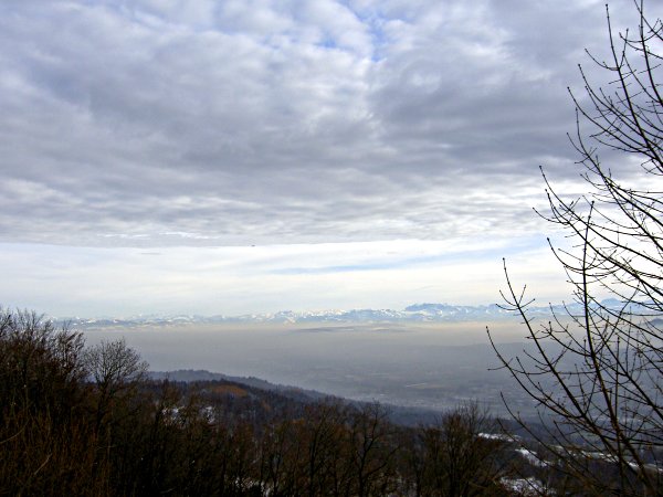 Image 01