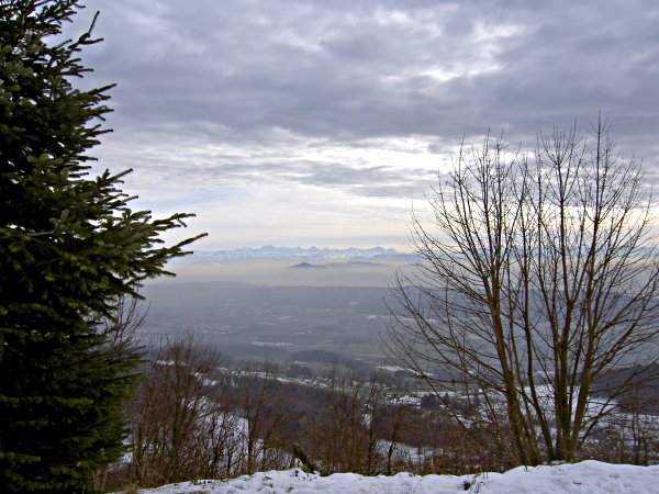Image 01