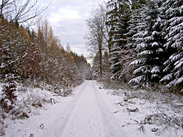 Image 01