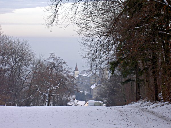 Image 01