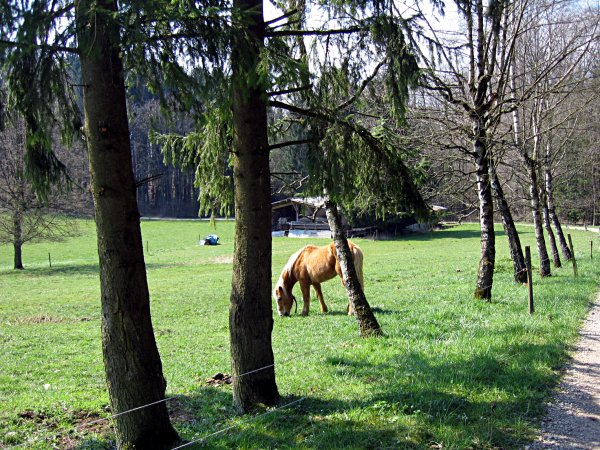 Image 01