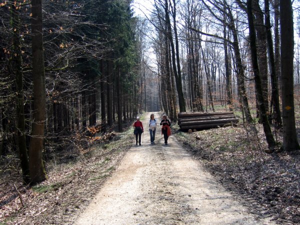 Image 01