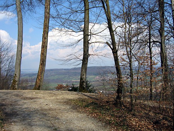Image 01