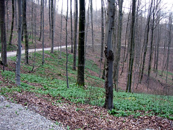 Image 01