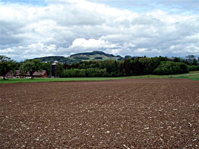 Image 01
