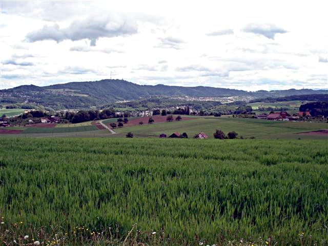 Image 01