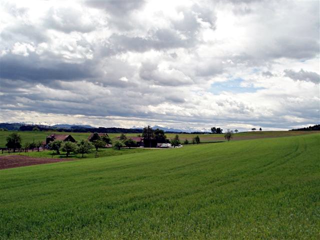 Image 01