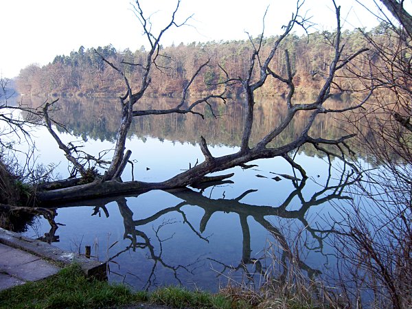 From Eglisau to Kaiserstuhl along the Rhein - Image 01