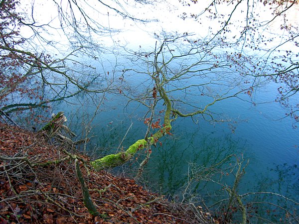 From Eglisau to Kaiserstuhl along the Rhein - Image 06