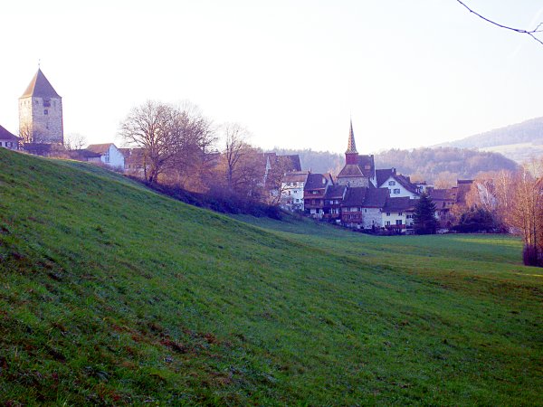 From Eglisau to Kaiserstuhl along the Rhein - Image 08