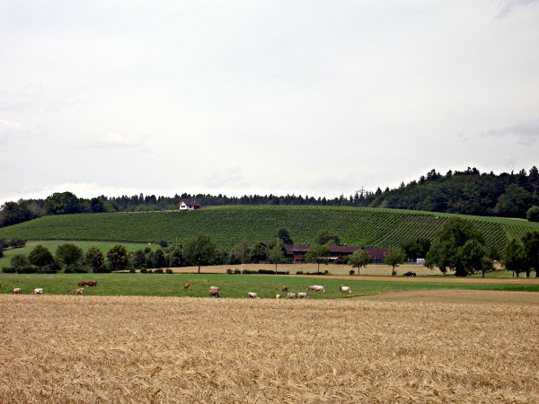 Image 01