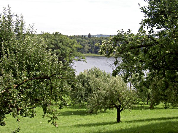Image 01