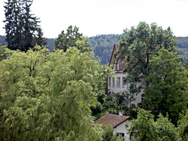 Image 01