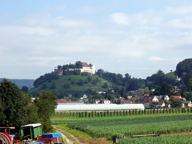 Image 02