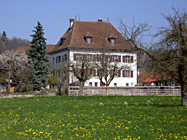 Image 01