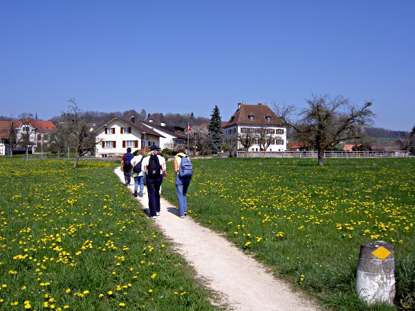 Image 01