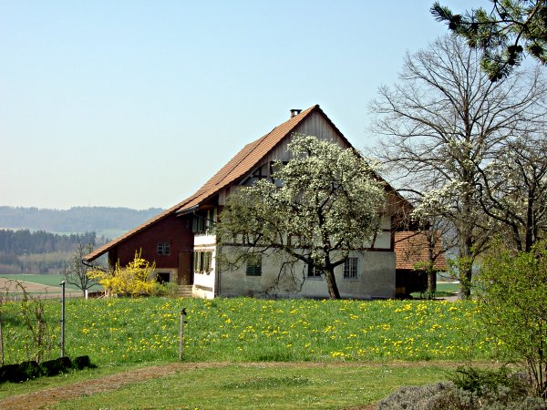 Image 01