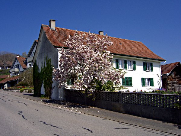 Image 01