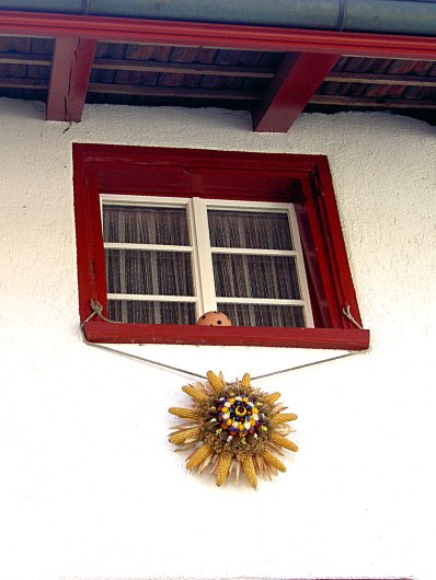 Picture gallery of the walk from Marthalen to Rheinau - Image 01