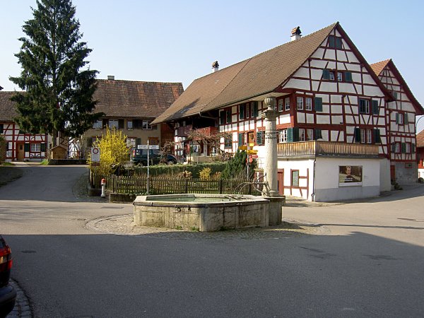 Picture gallery of the walk from Marthalen to Rheinau - Image 03