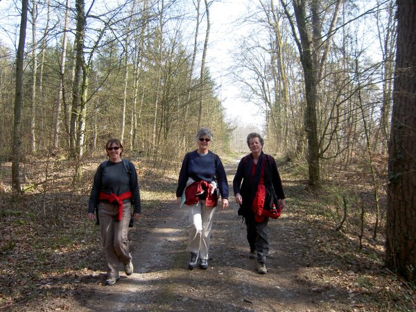 Picture gallery of the walk from Marthalen to Rheinau - Image 04
