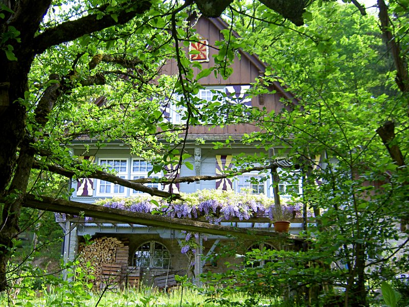 Image 01