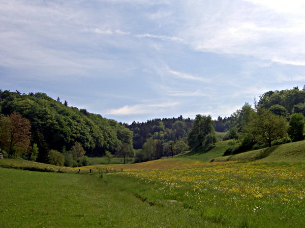 Image 01