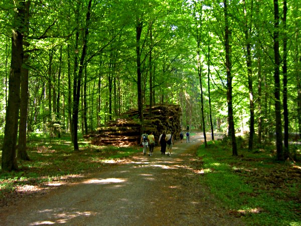 Image 01