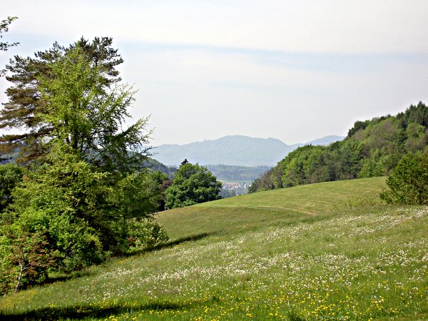 Image 01
