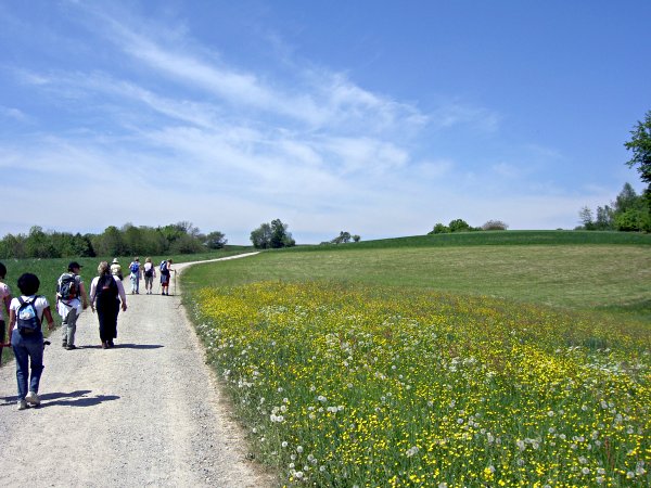 Image 01