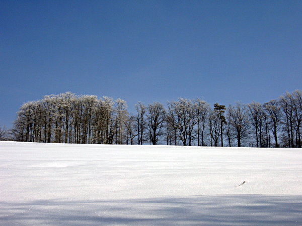 Image 01