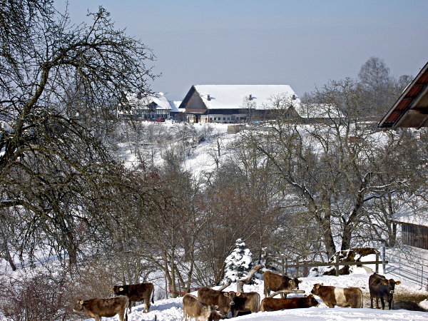 Image 01