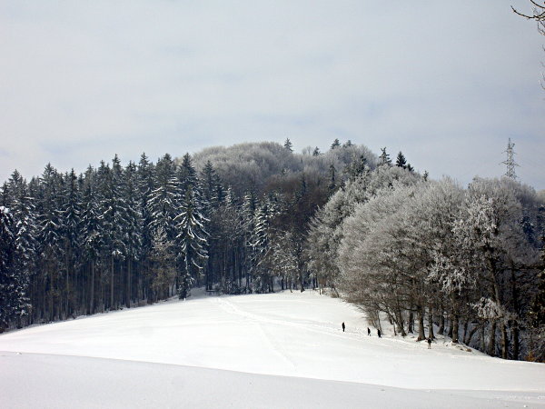 Image 01