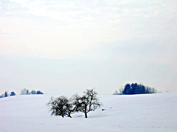 Image 01