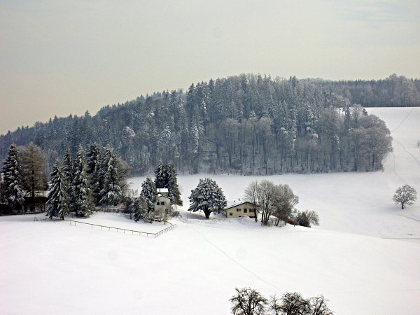 Image 01