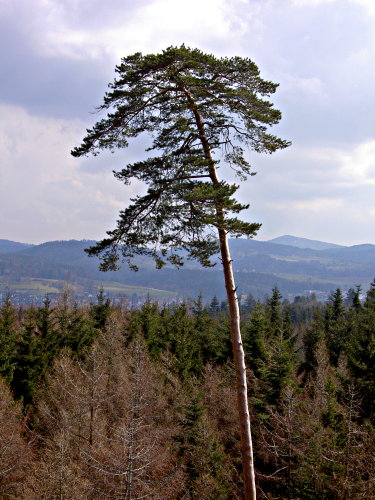 Image 01