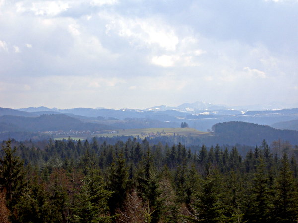 Image 01
