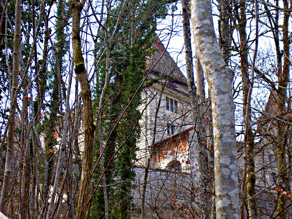 Image 01