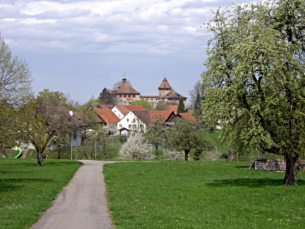 Image 01