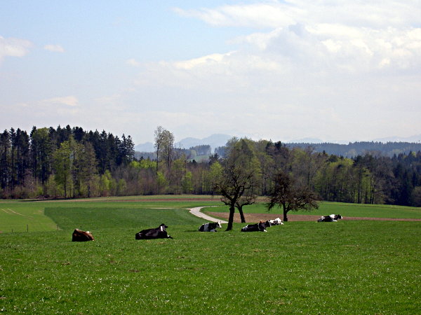 Image 01