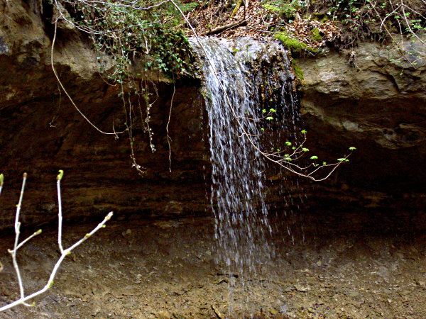 Image 01