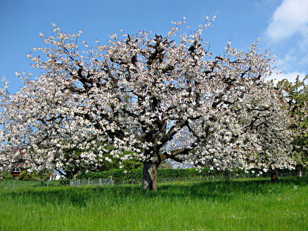 Image 01