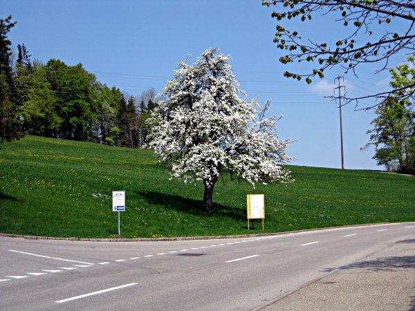Image 01