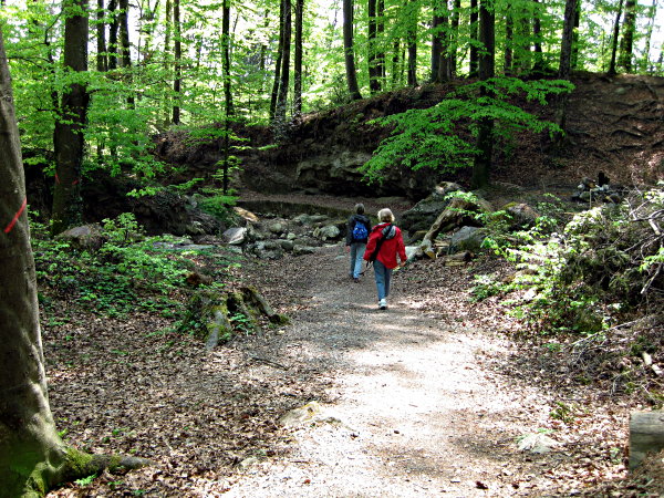 Image 01