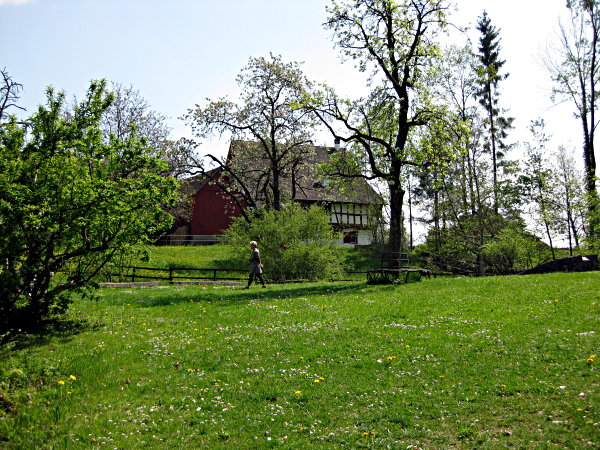 Image 01