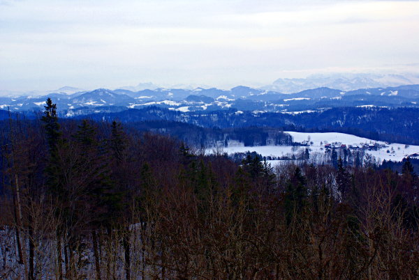 Image 01