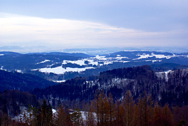 Image 01